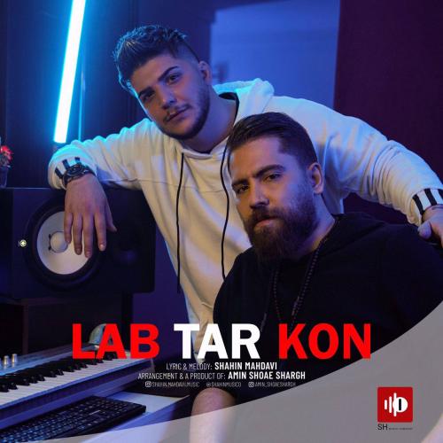 شاهين مهدوى لب تركن